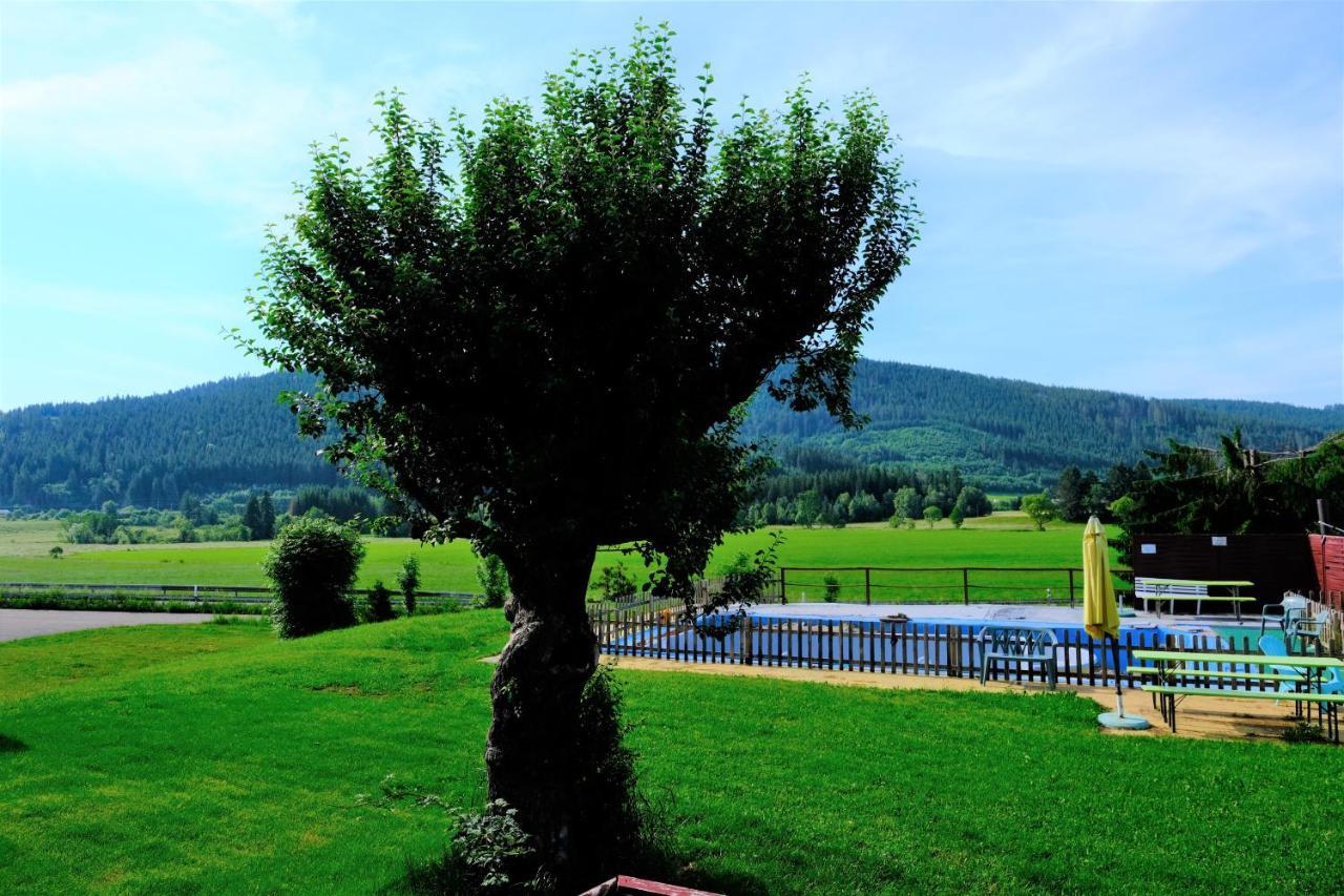 B Und B Titisee Hotel Sonnenmatte Nahe Badeparadies Dış mekan fotoğraf